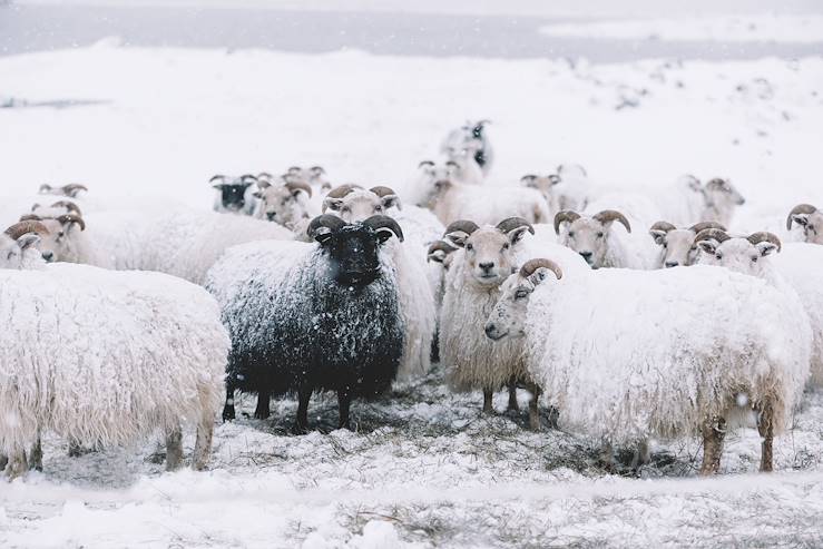 Iceland © Getty Images/iStockphoto