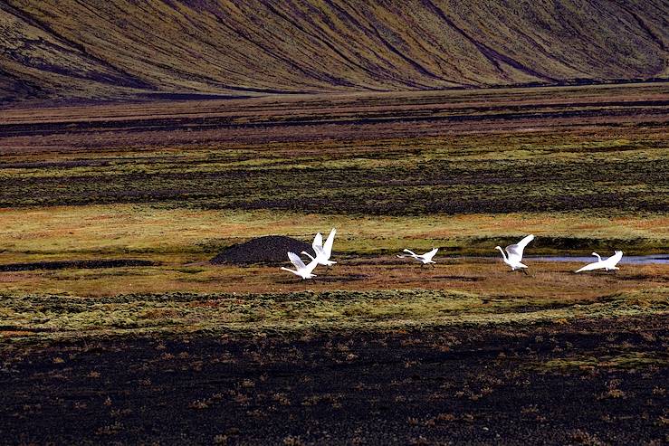 Langisjór - Iceland © Matthieu Ricard