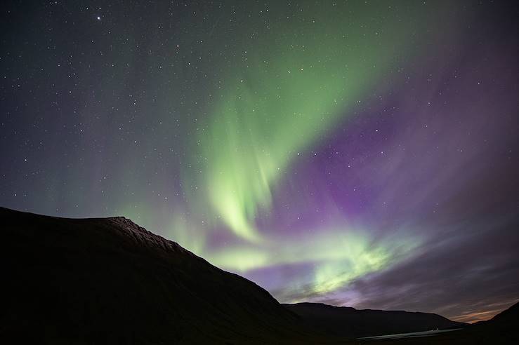 Northern lights - Iceland © Droits reservés