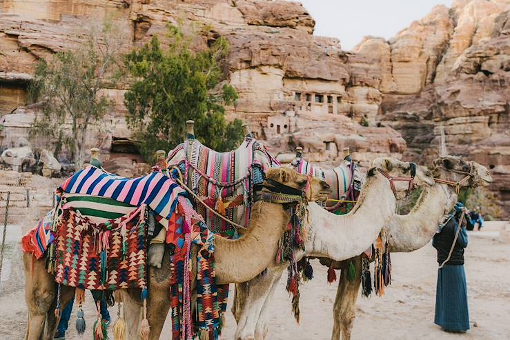 Camels in Petra - Jordan © Getty Images/iStockphoto