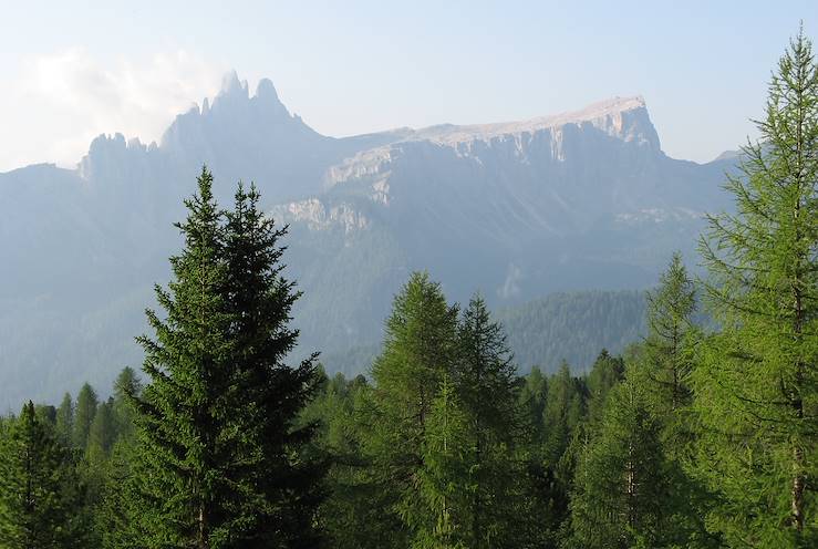 Croda da Lago - Dolomites - Italy © Droits reservés