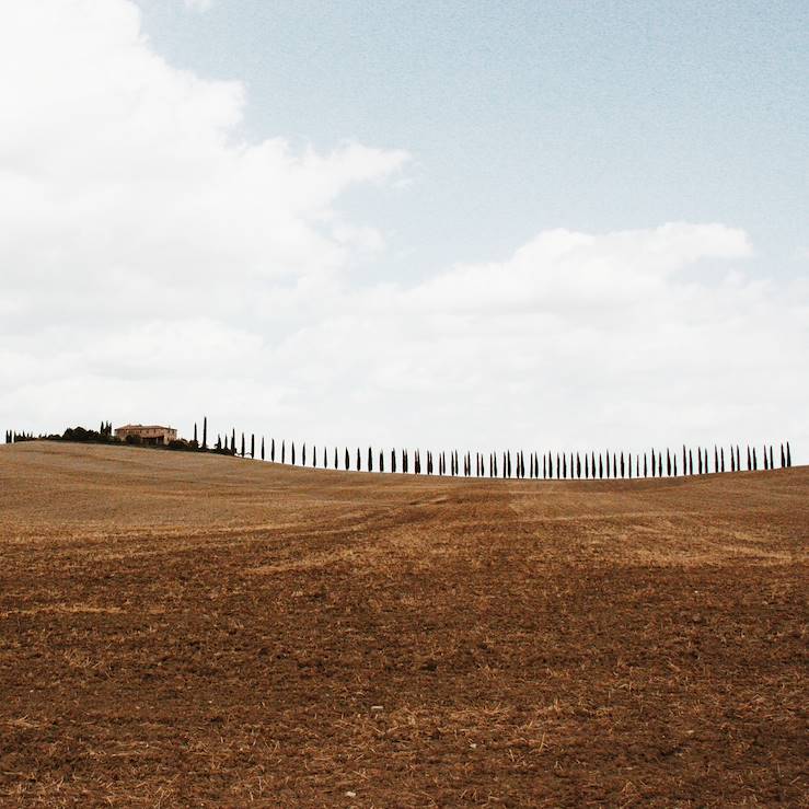 Field in Italy © Droits reservés