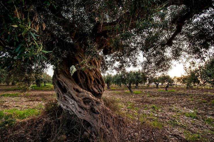 Trapani - Italie © Baglio Soria Resort & Wine