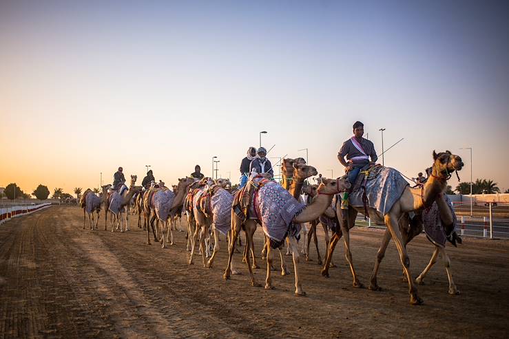 Dubaï Camel Racing Club :  entrainement des chameaux - Dubaï - Emirats Arabes Unis © Romain Gaillard/REA/Comptoir des Voyages