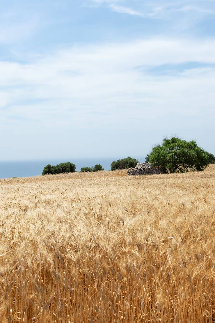 Pouilles - Italie © Droits reservés