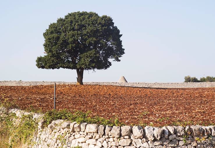 Salento - Pouilles - Italie © Droits reservés