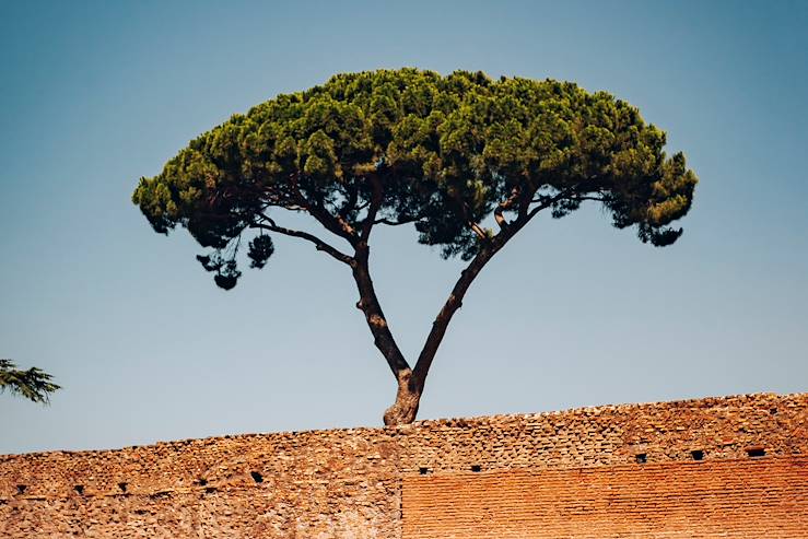 Italie © Jérôme Galland