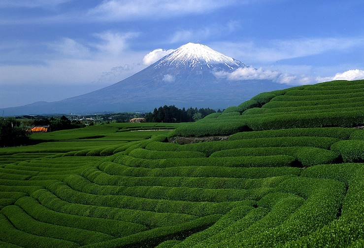 Mont Fuji - Hakone - Japan © JNTO Japan National Tourism Organization OT