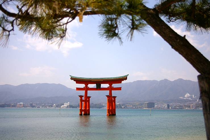 Torii in Miyajima - Japan © chris jewiss / Fotolia.com