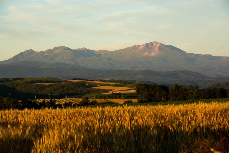 Hokkaido landscape © Droits reservés