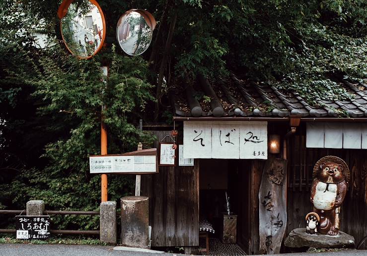 Kyoto - Kansai - Japan © Zoe Fidji