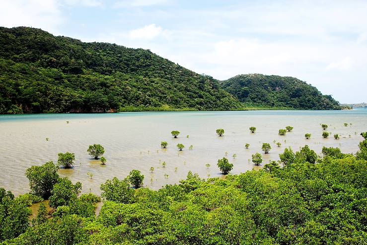 Kyushu island - Japan © Getty Images/iStockphoto