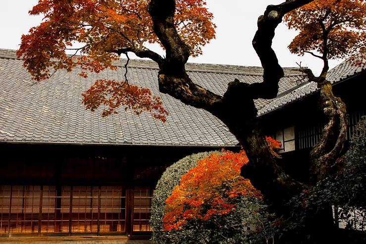 Japon © Jérôme Galland