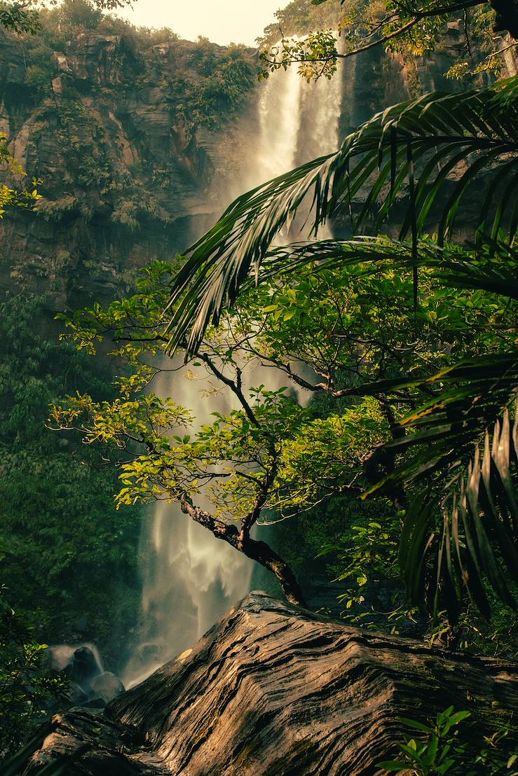 Iriomote - Okinawa - Japon © Romain Laprade