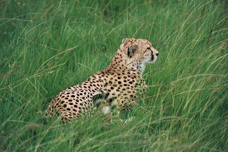 Masai Mara Reserve © Vanessa Lourdin