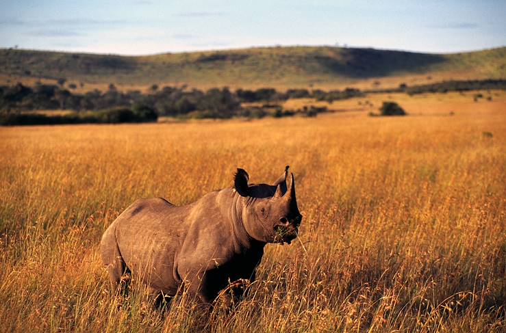 The Masai Mara -  Kenya © Kenya Tourist Board OT