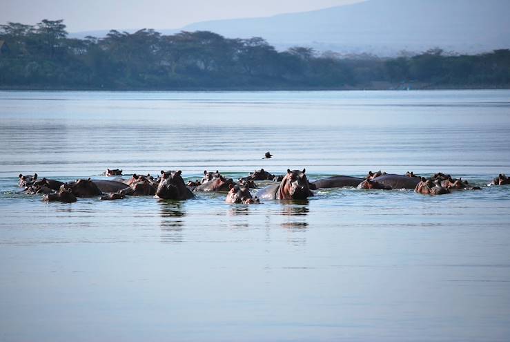 Réserve naturelle de la presqu'île de Crescent island - Kenya © Laetitia Ferreira