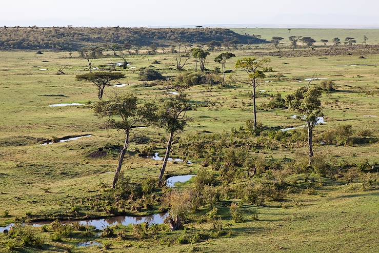 Kenyan bush - Kenya © DenGuy/iStock/Getty Images Plus