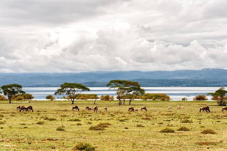 Naivasha Lake - Kenya © Jason_YU/Getty Images/iStockphoto