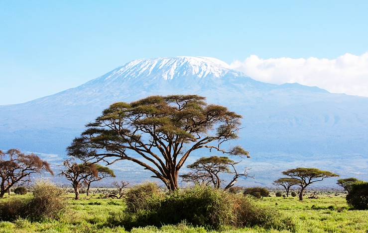 Mount Kilimanjaro - Kenya © Gianfranco Bella/stock.adobe.com