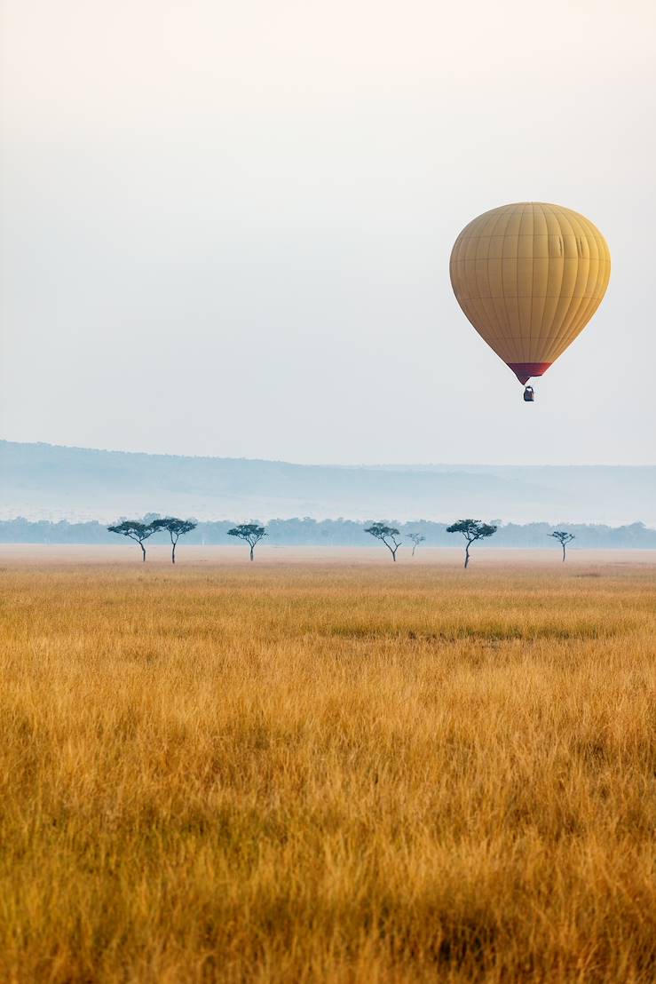 Reserve nationale du Masai Mara - Afrique © Alexander Shalamov/BlueOrange Studio/stock.adobe.com