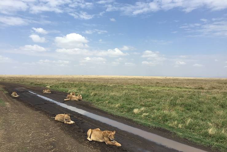 Serengeti - Tanzania © Droits reservés