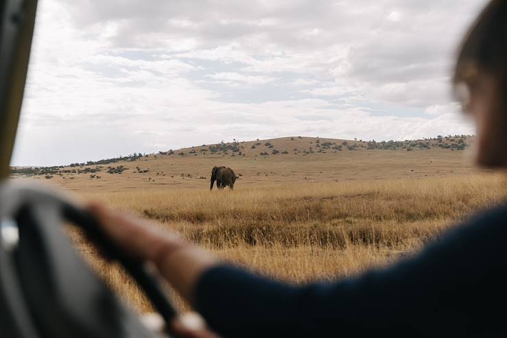 Elephant and Safari - Kenya © Olivier Romano