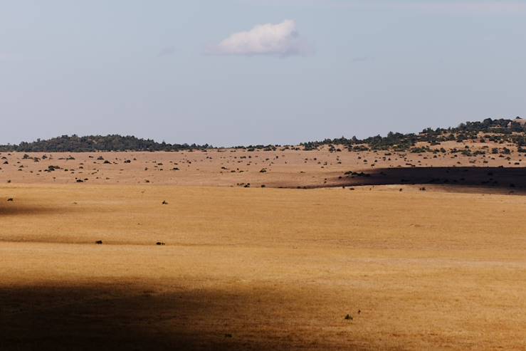 Savanna - Kenya © Droits reservés