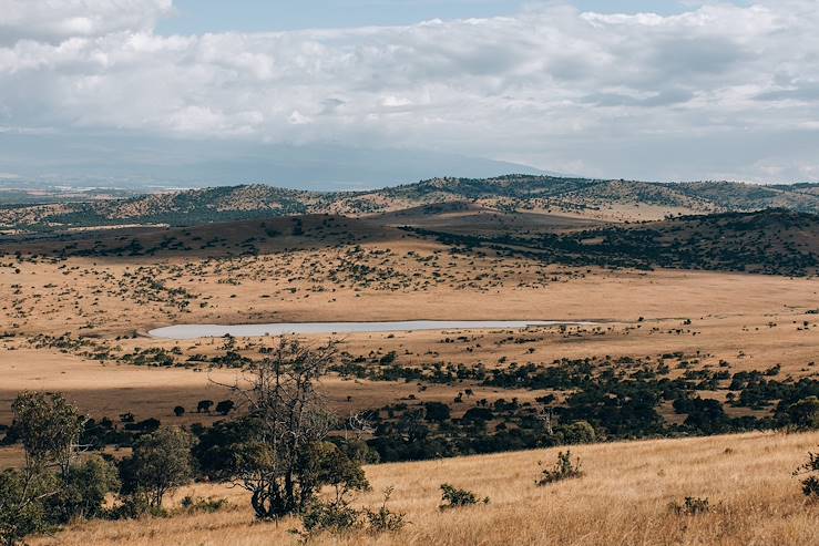 Laikipia - Kenya © Olivier Romano