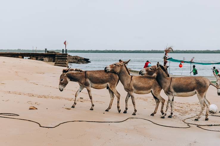 Donkets on the beach - Kenya © Olivier Romano