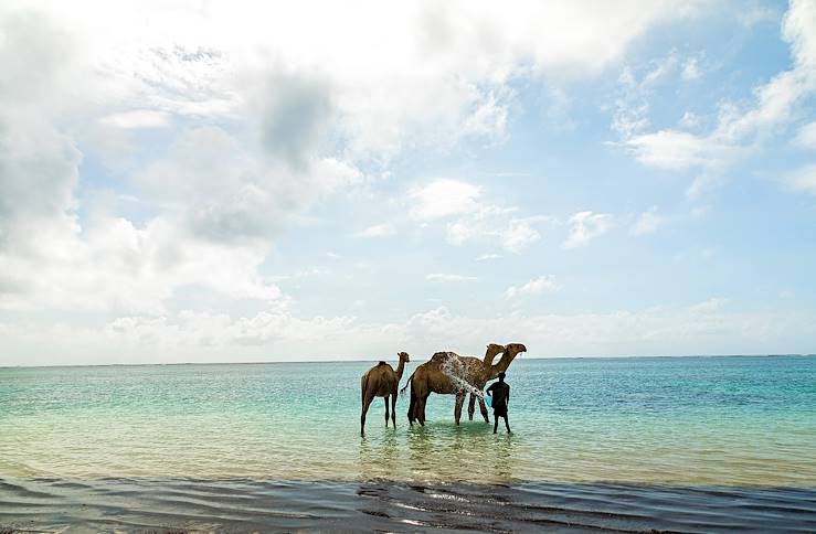 Diani Beach - Ukunda - Kenya © Elena - stock.adobe.com