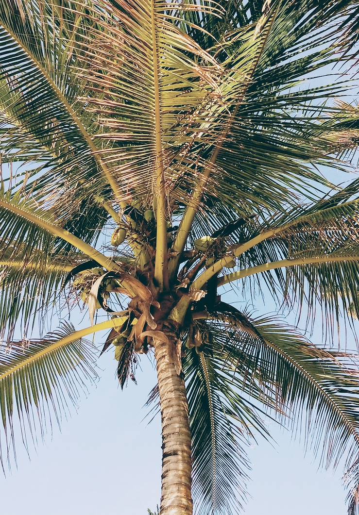 Diani Beach - Ukunda - Kenya © hausner wendo/EyeEm - stock.adobe.com