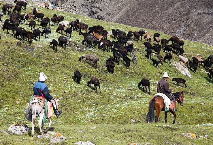 Sheep herd - Kyrgyzstan © Droits reservés