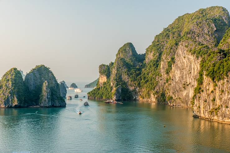 Ha Long Bay - Vietnam © Simon Dannhauer/stock.adobe.com