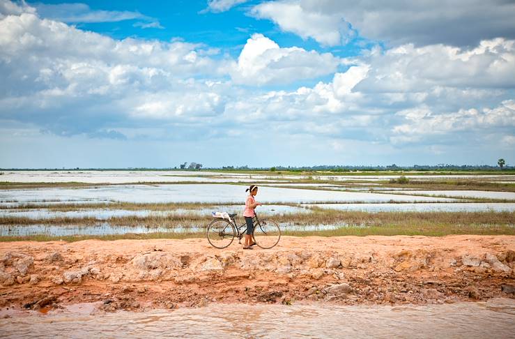 Rice field - Cambodia © Droits reservés