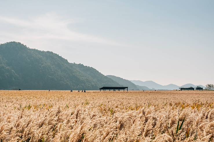 Suncheon - South Korea © Droits reservés