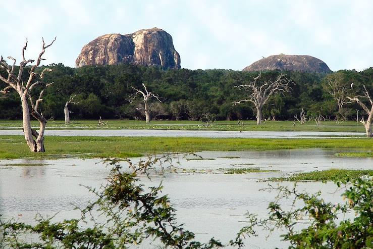 Yala National Park - Southern Province  - Sri Lanka © John Hofboer / Fotolia