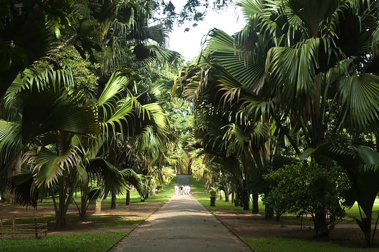 Kandy - Sri Lanka © madai / Fotolia