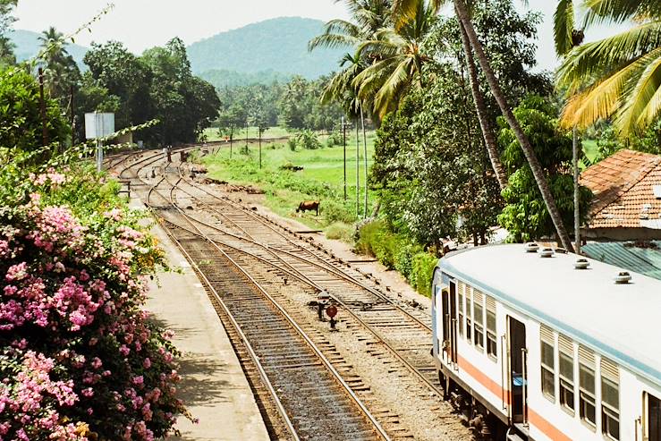 Train in Sri Lanka © Droits reservés