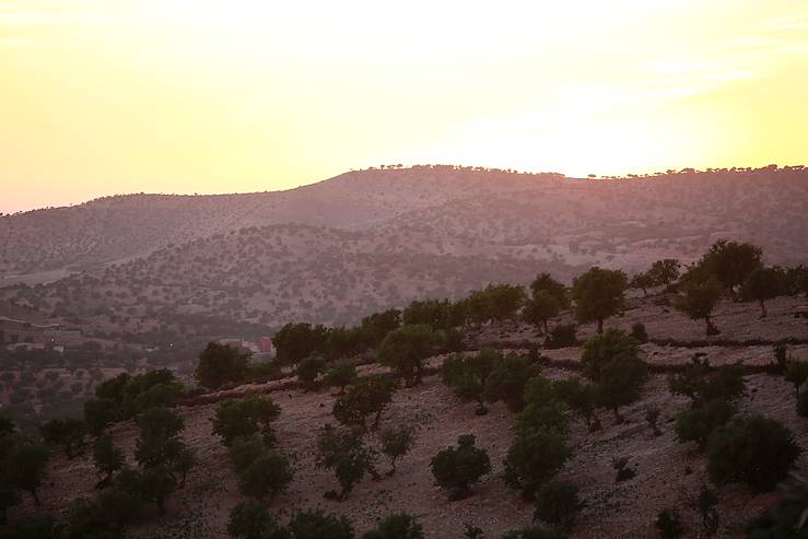 Maroc © Véronique Durruty