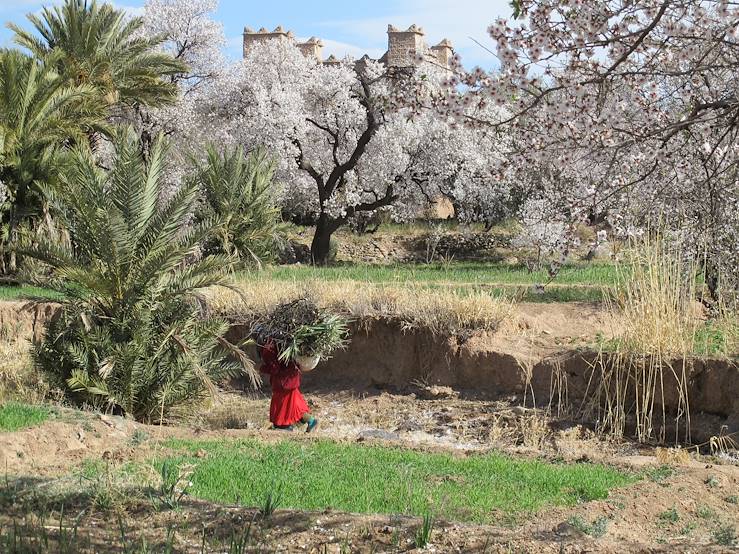 Ruins - Morocco © Droits reservés