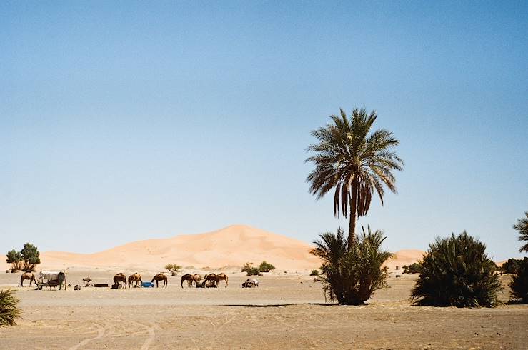 Desert - Morocco © Droits reservés