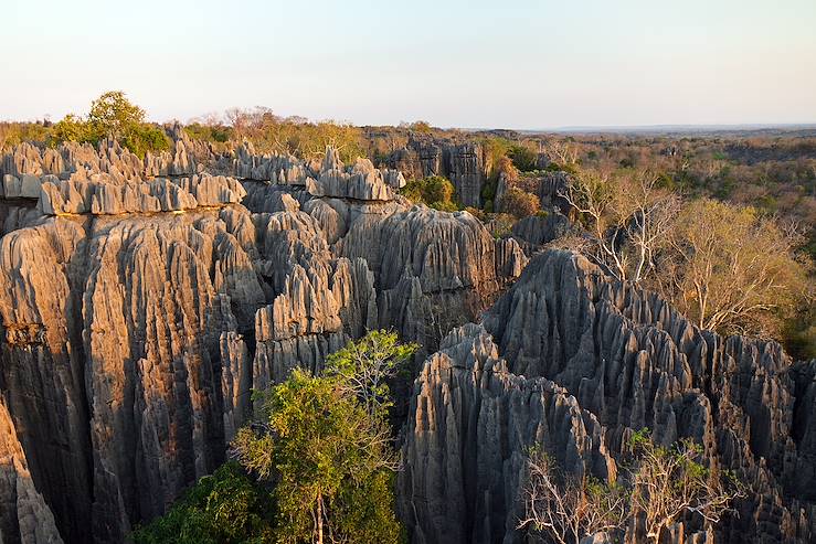 Tsingy de Bemaraha Strict Nature Reserve - Madagascar © Dennisvdw/Getty Images/iStockphoto