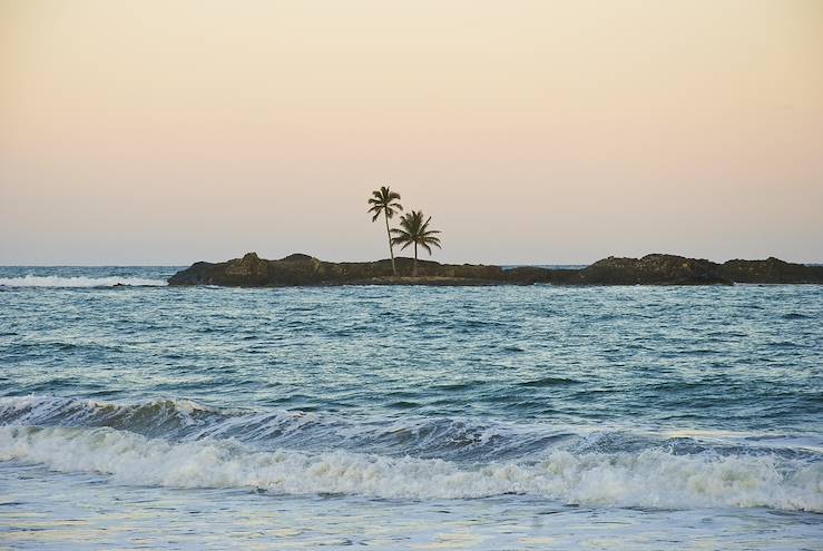 Sea and Palm tree - Madagascar © Droits reservés