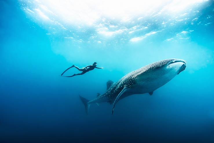 Diving near Soneva Fushi Resort & Spa - Kunfunadhoo - Maldives © Ryan Murray/Soneva Fushi Resort & Spa