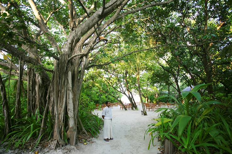 Coco Palm Dhuni Kolhu - Maldives © Coco Palm Dhuni Kolhu