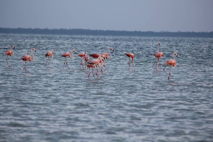 Isla Holbox - Mexico © Fiorella Centty