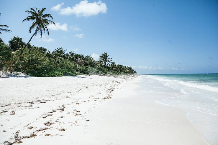 Beach - Sian Ka'an Biosphere Reserve - Mexico © Olivier Romano