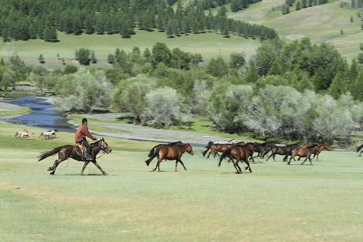 Orkhon Valley - Mongolia © heckepics/Getty Images/iStockphoto