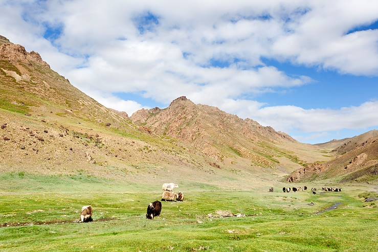 Yoliin am Canyon -  Gobi Gurvan saikhan National Park - Mongolia © Jaume Juncadella Olivares/Getty Images/iStockphoto